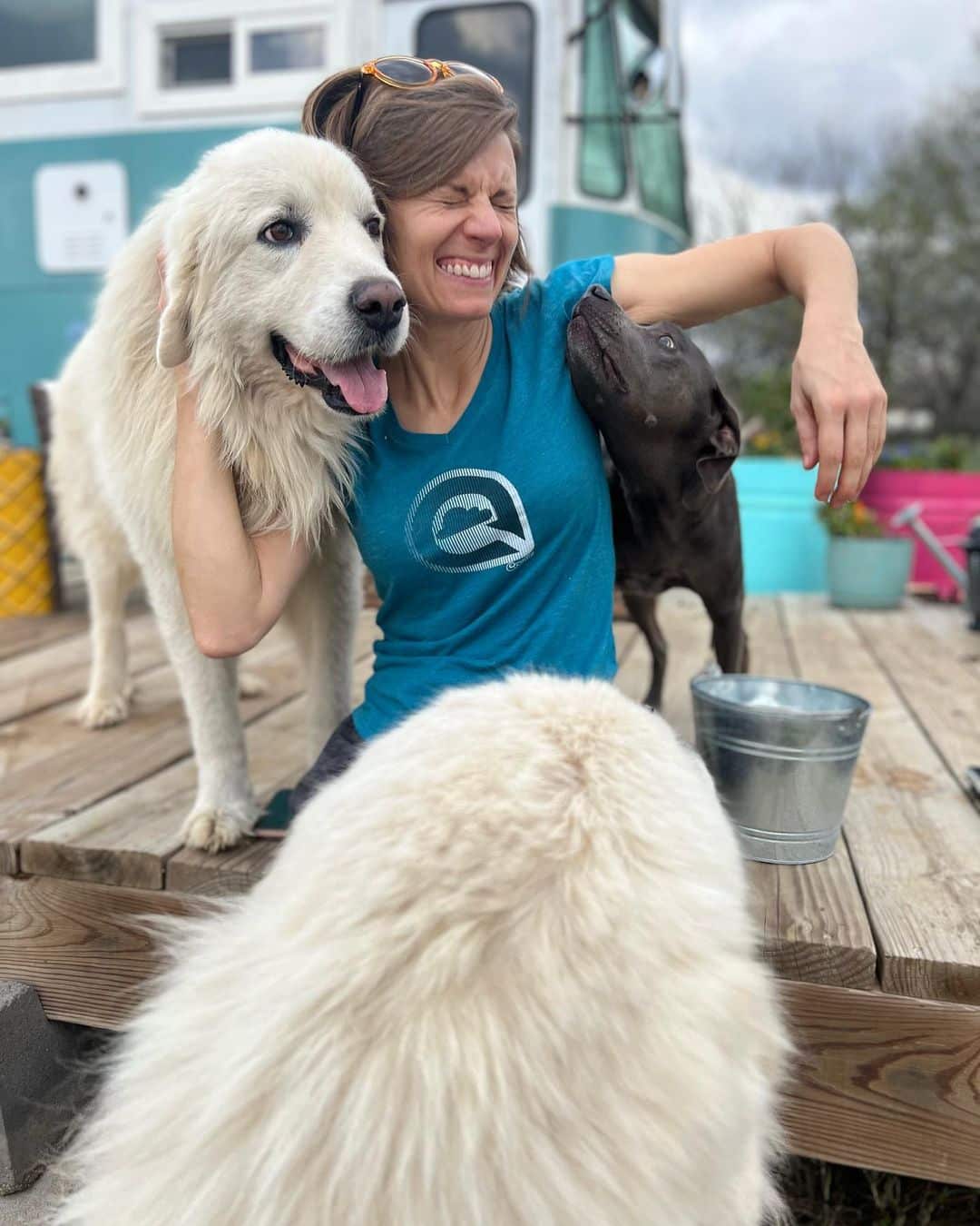 Girl wearing a blue Cookie branded tee with a scrunched smiling face and 3 dogs